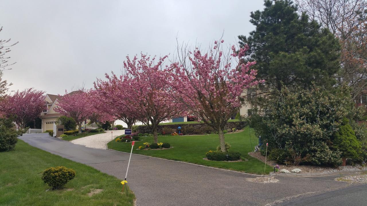 פלימות Inn 38 Oak Bluff Circle מראה חיצוני תמונה